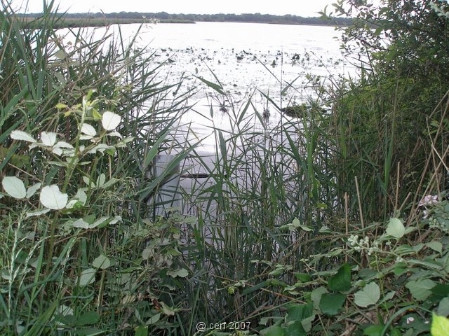 2007 05 Séjour en Brenne 041